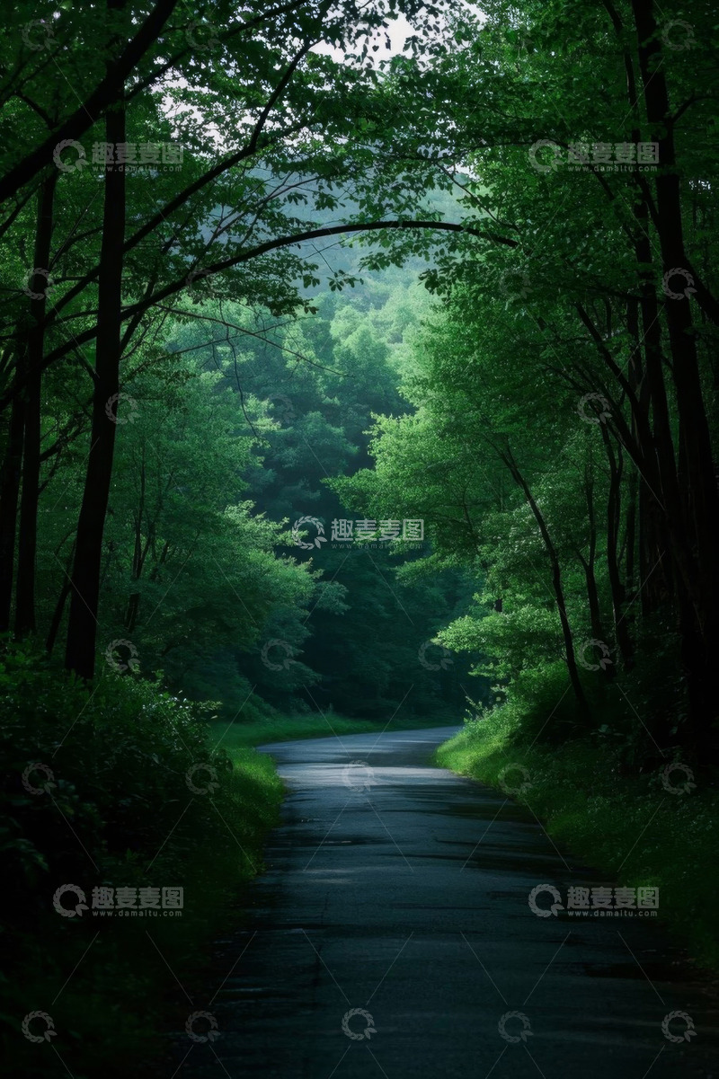 高清大图下载【趣麦麦图】林间蜿蜒小路自然风光