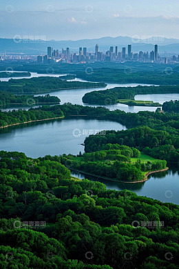 城市边缘的森林湖泊全景