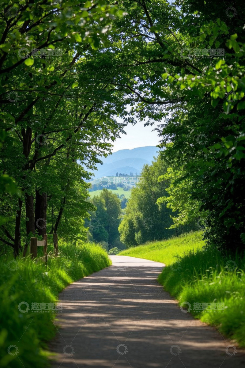 高清大图下载【趣麦麦图】林间小道自然风光景色