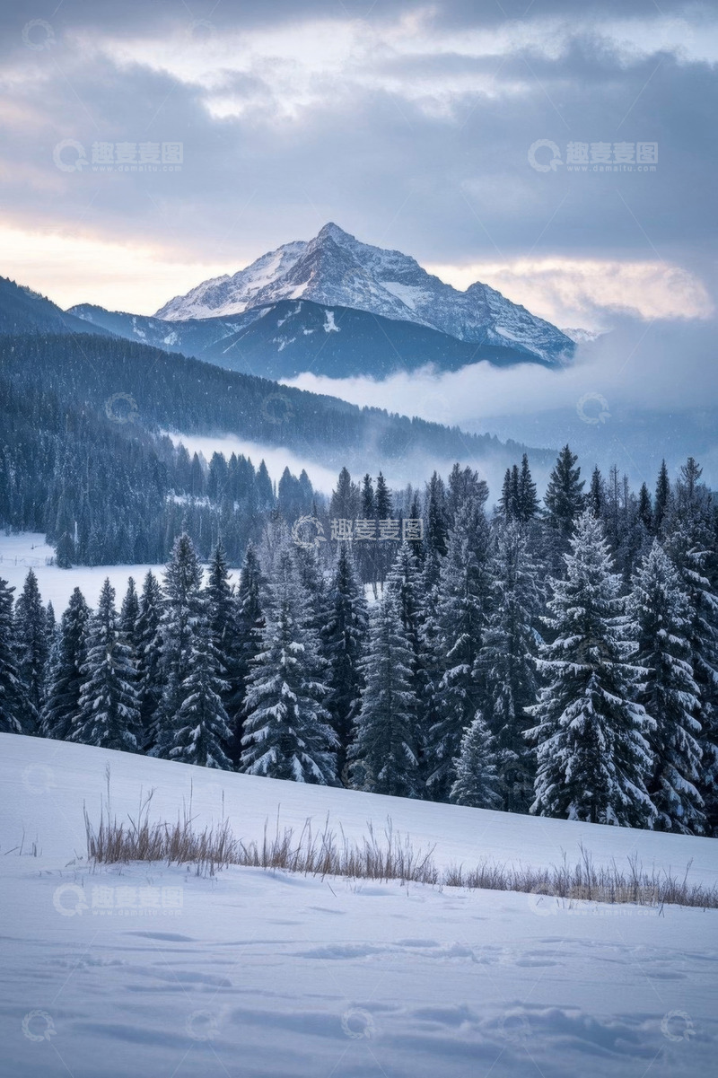 高清大图下载【趣麦麦图】雪山下的雪林自然风光