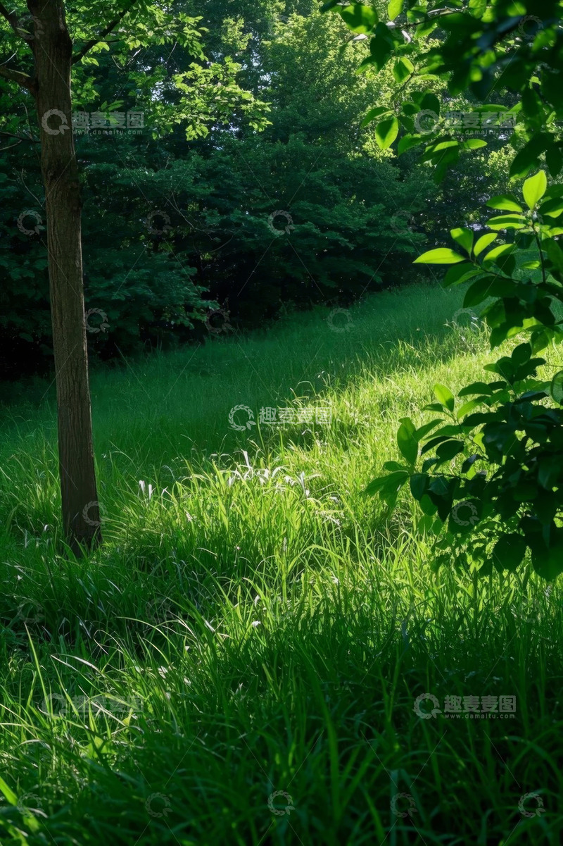 高清大图下载【趣麦麦图】阳光下的草地树林景观