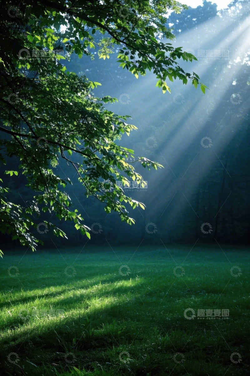 高清大图下载【趣麦麦图】森林中透过树叶的阳光景象