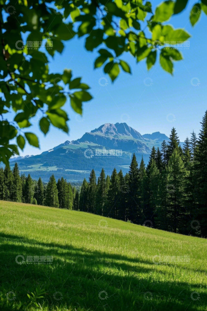高清大图下载【趣麦麦图】山间绿地与树林自然风光
