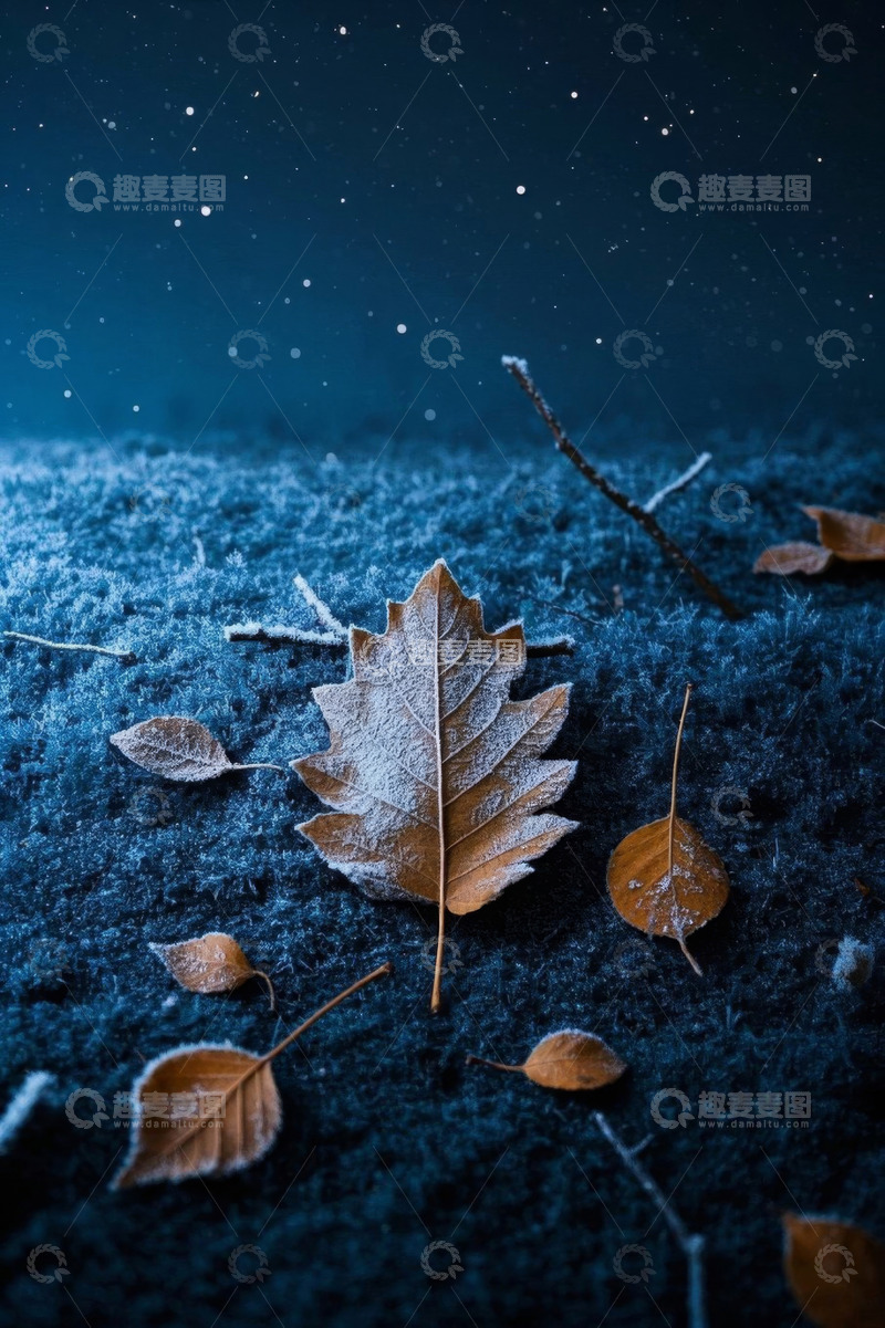 高清大图下载【趣麦麦图】覆雪枯叶自然景象