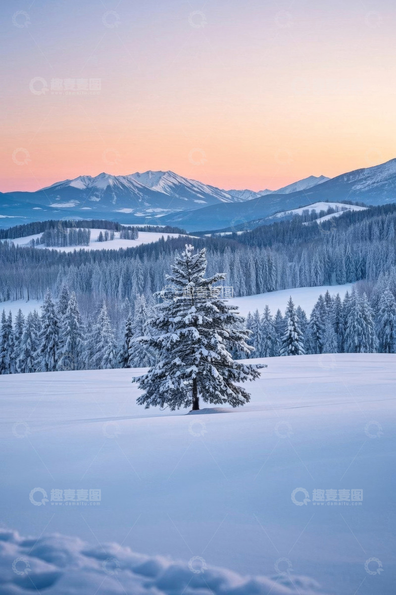 高清大图下载【趣麦麦图】冬日雪覆盖的山林与孤树