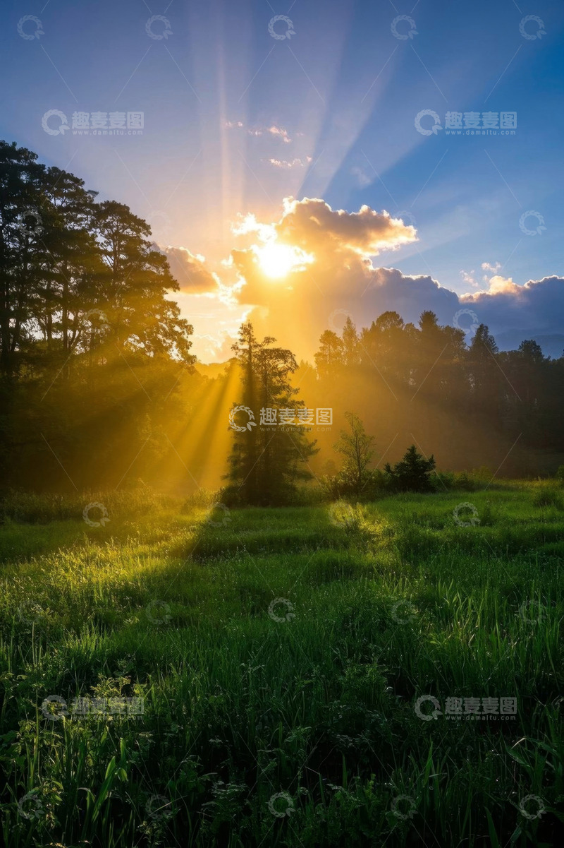 高清大图下载【趣麦麦图】户外草地树林间的日出景象