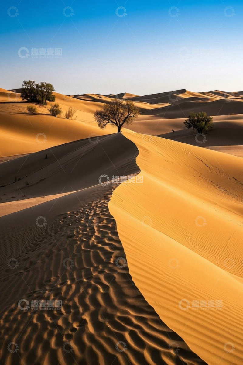 高清大图下载【趣麦麦图】沙漠沙丘自然风光