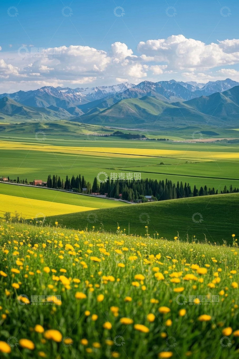 高清大图下载【趣麦麦图】山地间油菜花海自然风光