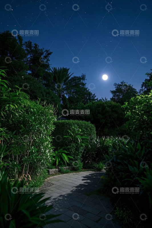 月夜下的花园小径景观