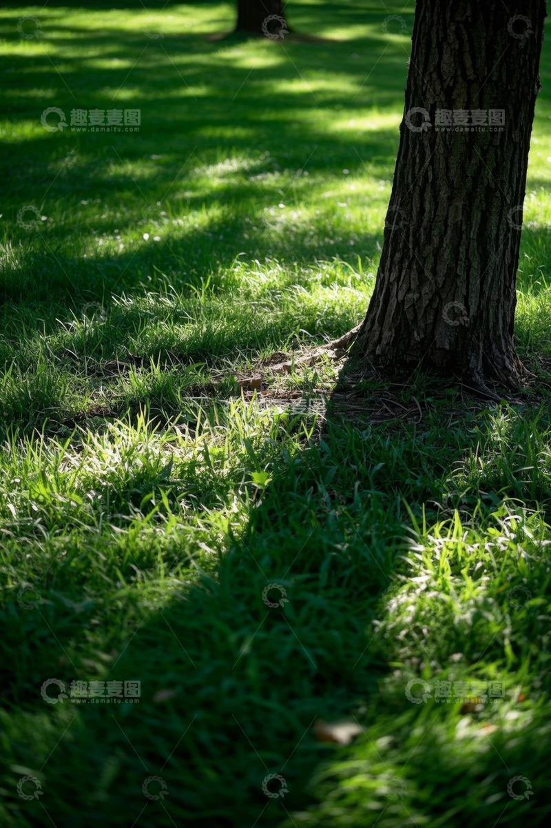 高清大图下载【趣麦麦图】草地树荫下的自然景观