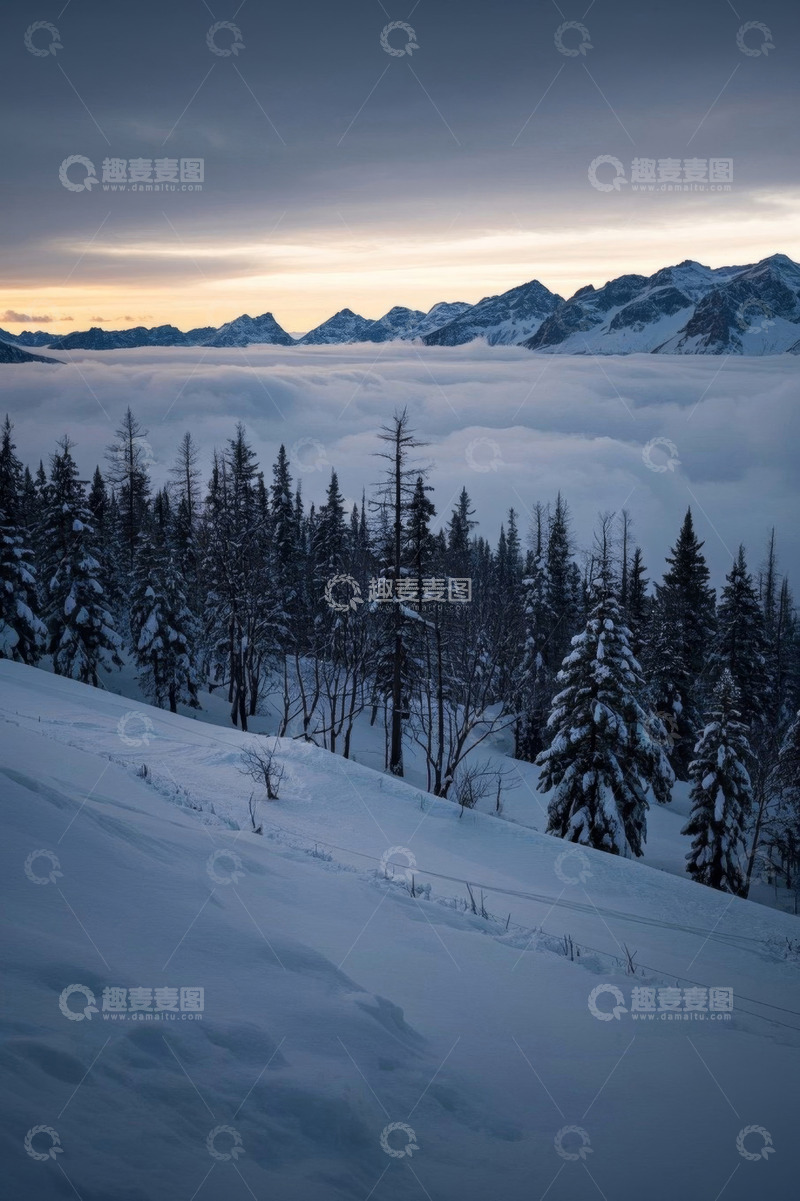 高清大图下载【趣麦麦图】雪山云海森林冬日景观
