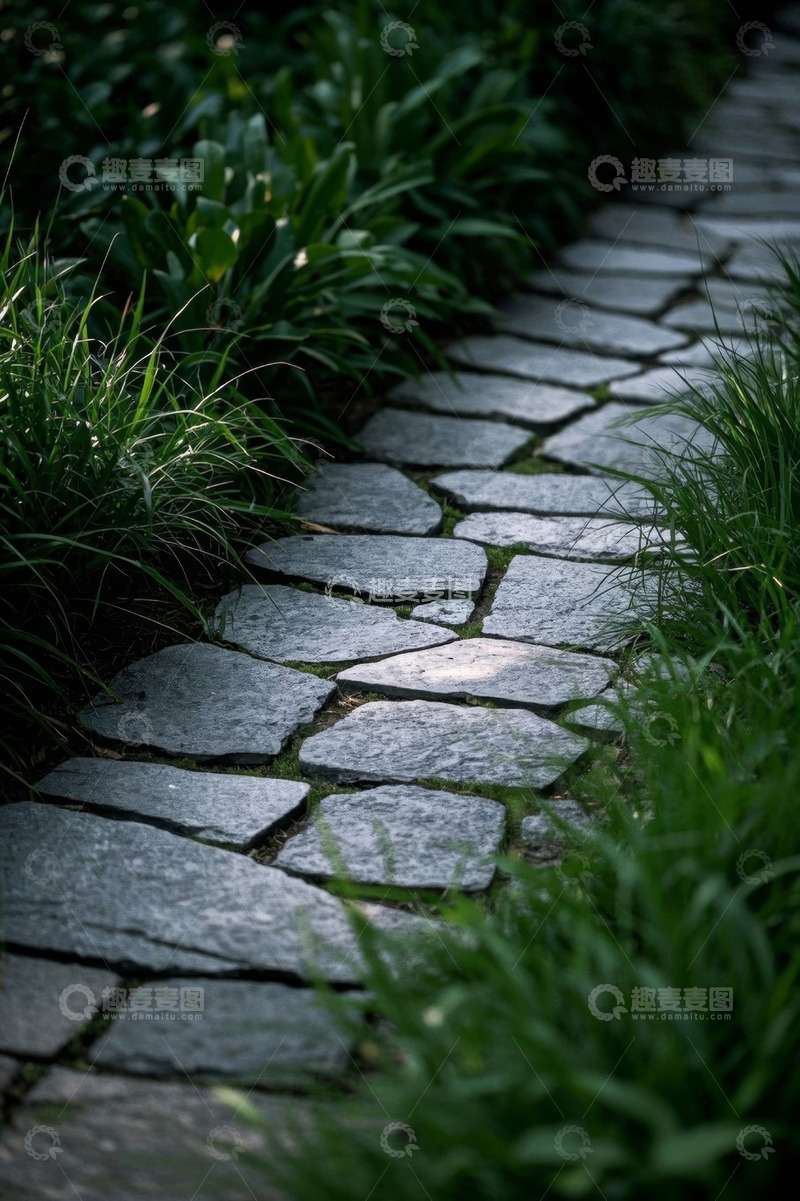 高清大图下载【趣麦麦图】石板小径旁的绿植景观