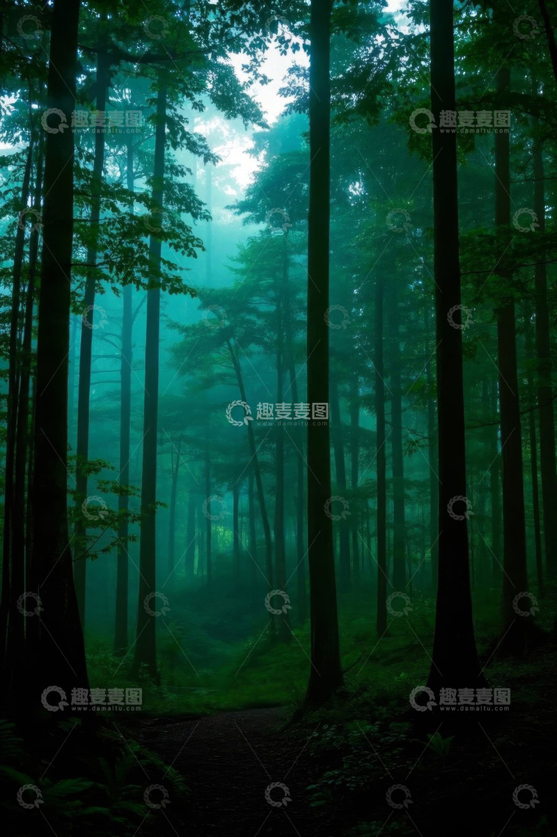 高清大图下载【趣麦麦图】迷雾中的森林小径
