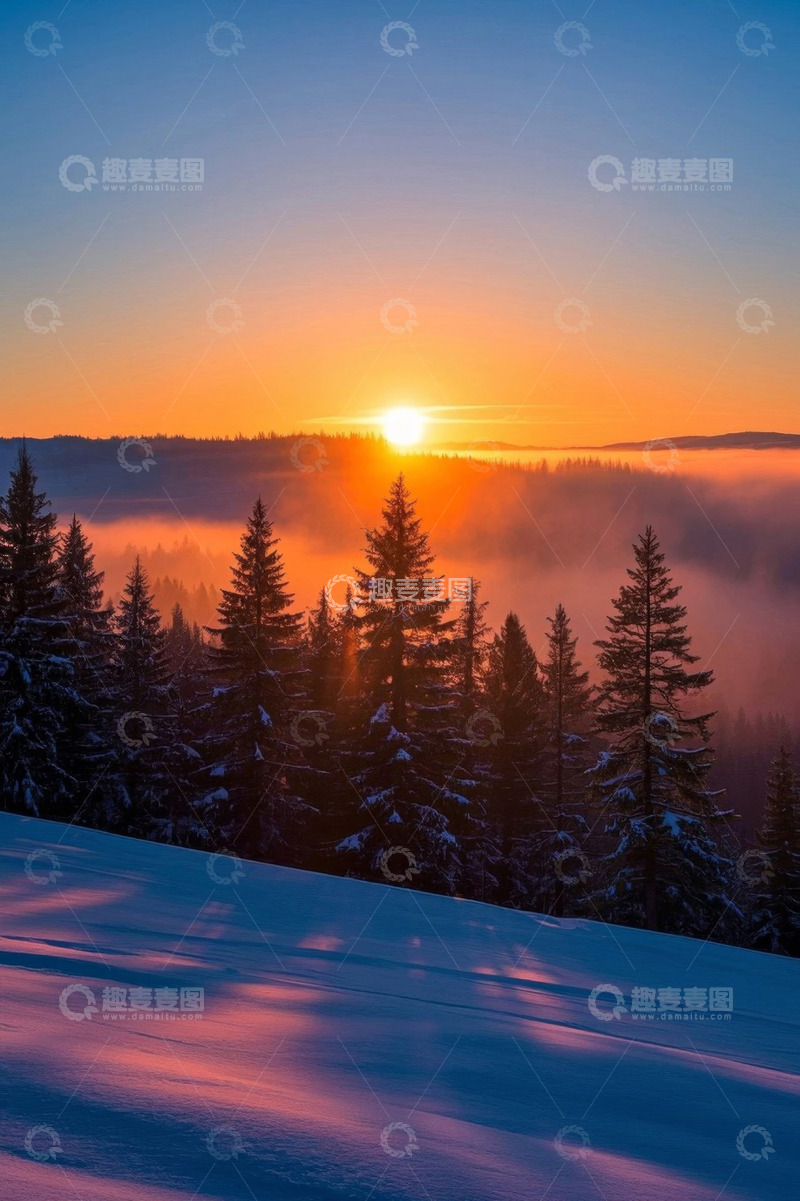 高清大图下载【趣麦麦图】雪后森林日出美景