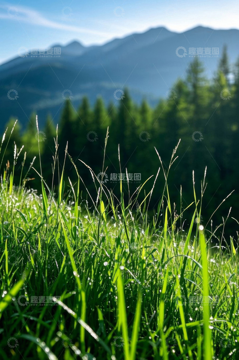 高清大图下载【趣麦麦图】山间草地与森林自然风光