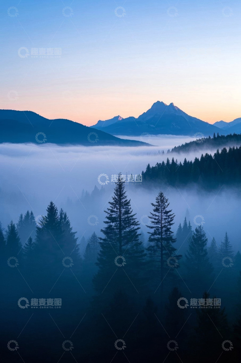高清大图下载【趣麦麦图】山林晨雾中的森林景观