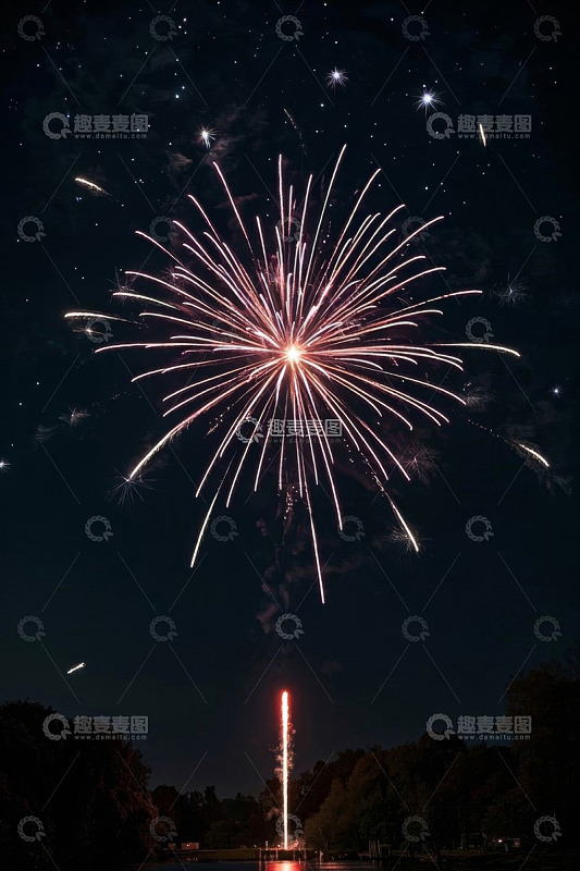夜空绽放的绚丽烟花
