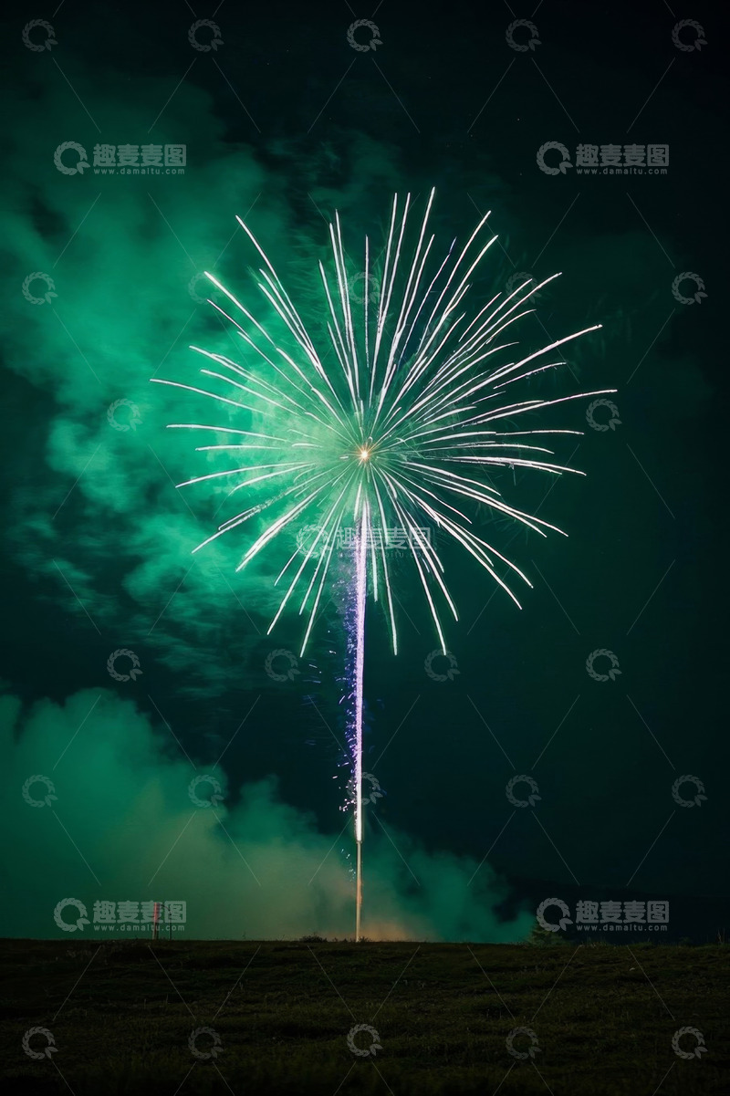 高清大图下载【趣麦麦图】夜空中绽放的绿色烟花