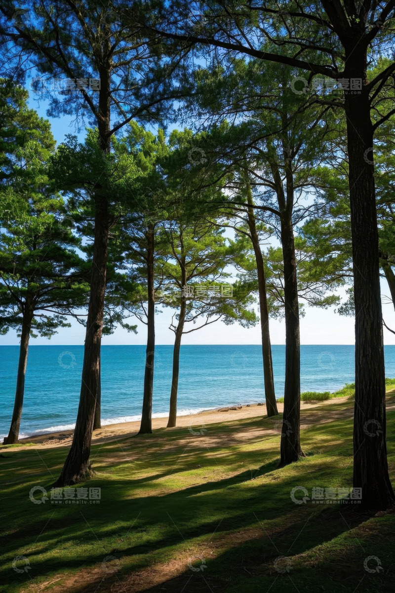 高清大图下载【趣麦麦图】海边树林自然风光