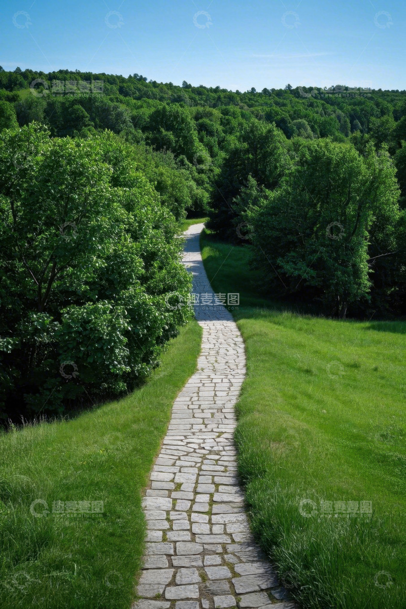 高清大图下载【趣麦麦图】林间草地中的石板小径