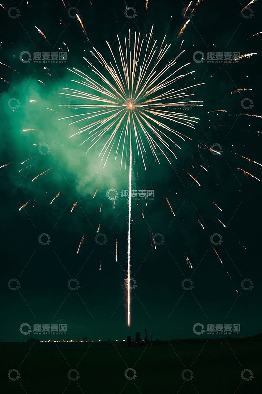 夜空中绽放的绚丽烟花