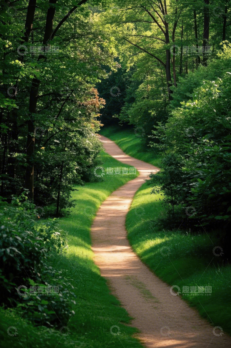 高清大图下载【趣麦麦图】林间蜿蜒小径自然风光