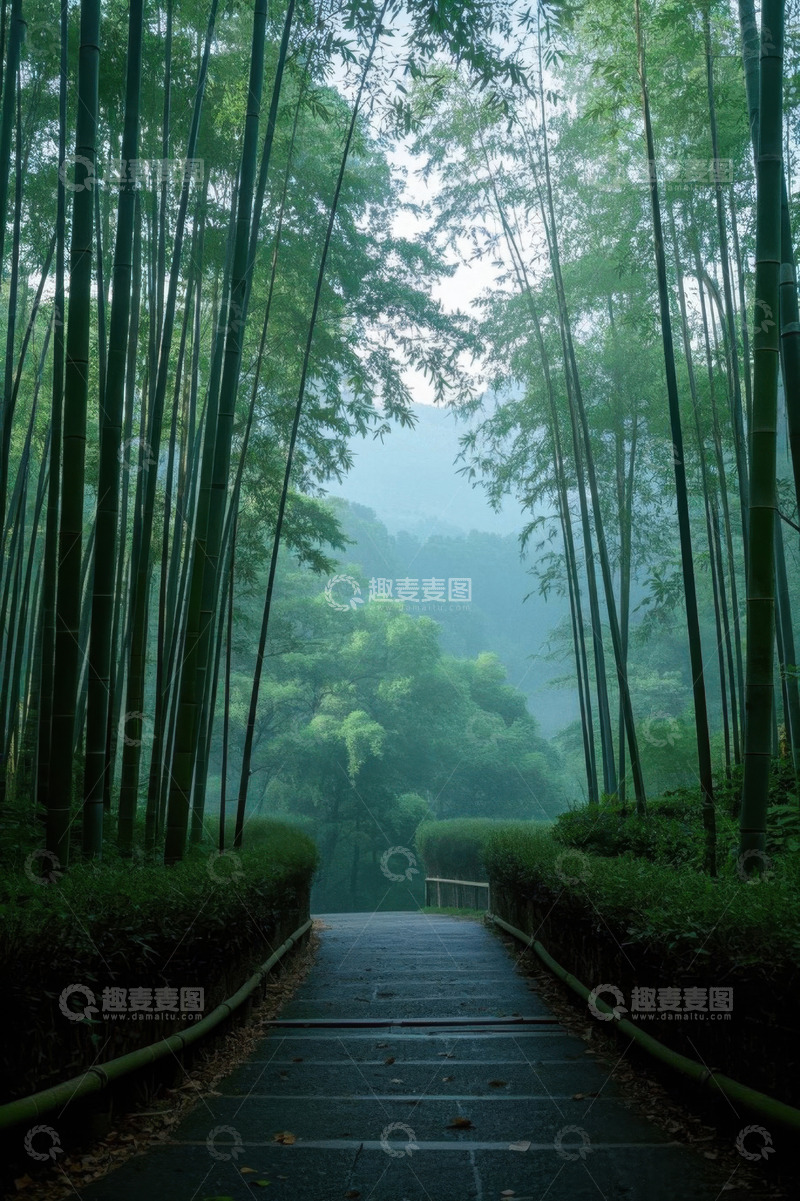 高清大图下载【趣麦麦图】林间竹林中的石板小路