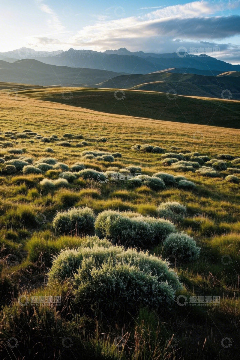 高清大图下载【趣麦麦图】草原自然风光全景