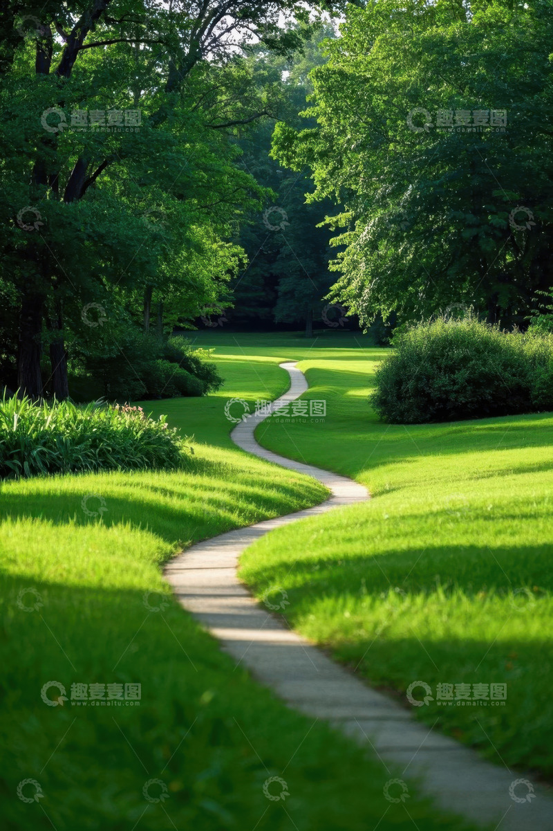 高清大图下载【趣麦麦图】林间草地蜿蜒小径自然风光