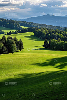 户外绿色山丘森林风景
