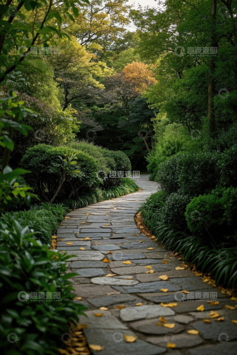 高清大图下载【趣麦麦图】林间石板小径自然风光