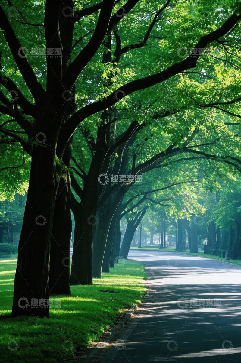 高清大图下载【趣麦麦图】林荫道路自然风光