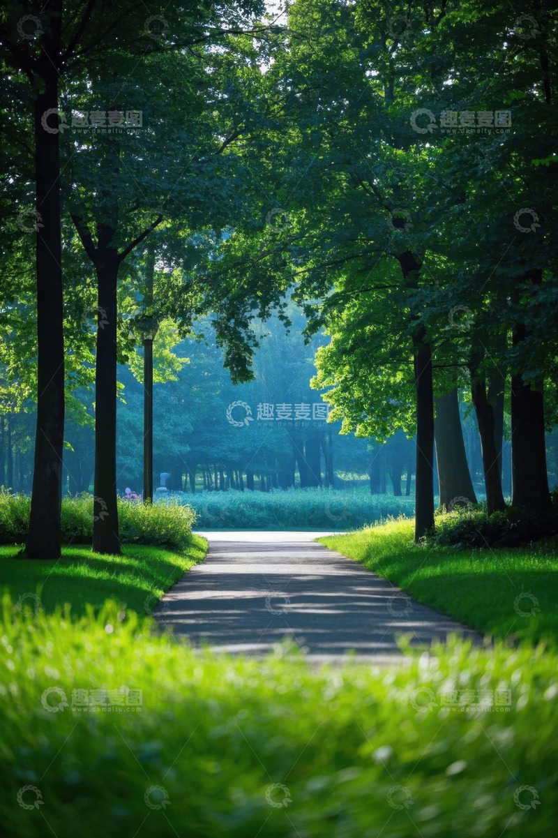 高清大图下载【趣麦麦图】林间小道绿意盎然的自然景观