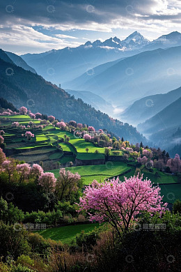 山间梯田与盛开桃花风景