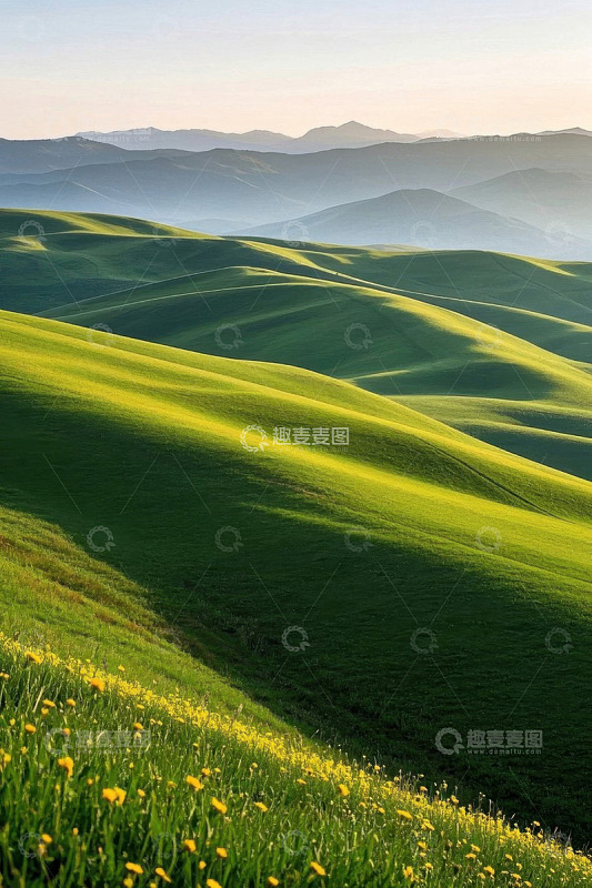 绿色起伏山丘自然风光