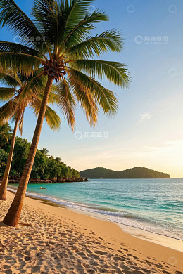 热带海滩与棕榈树风景