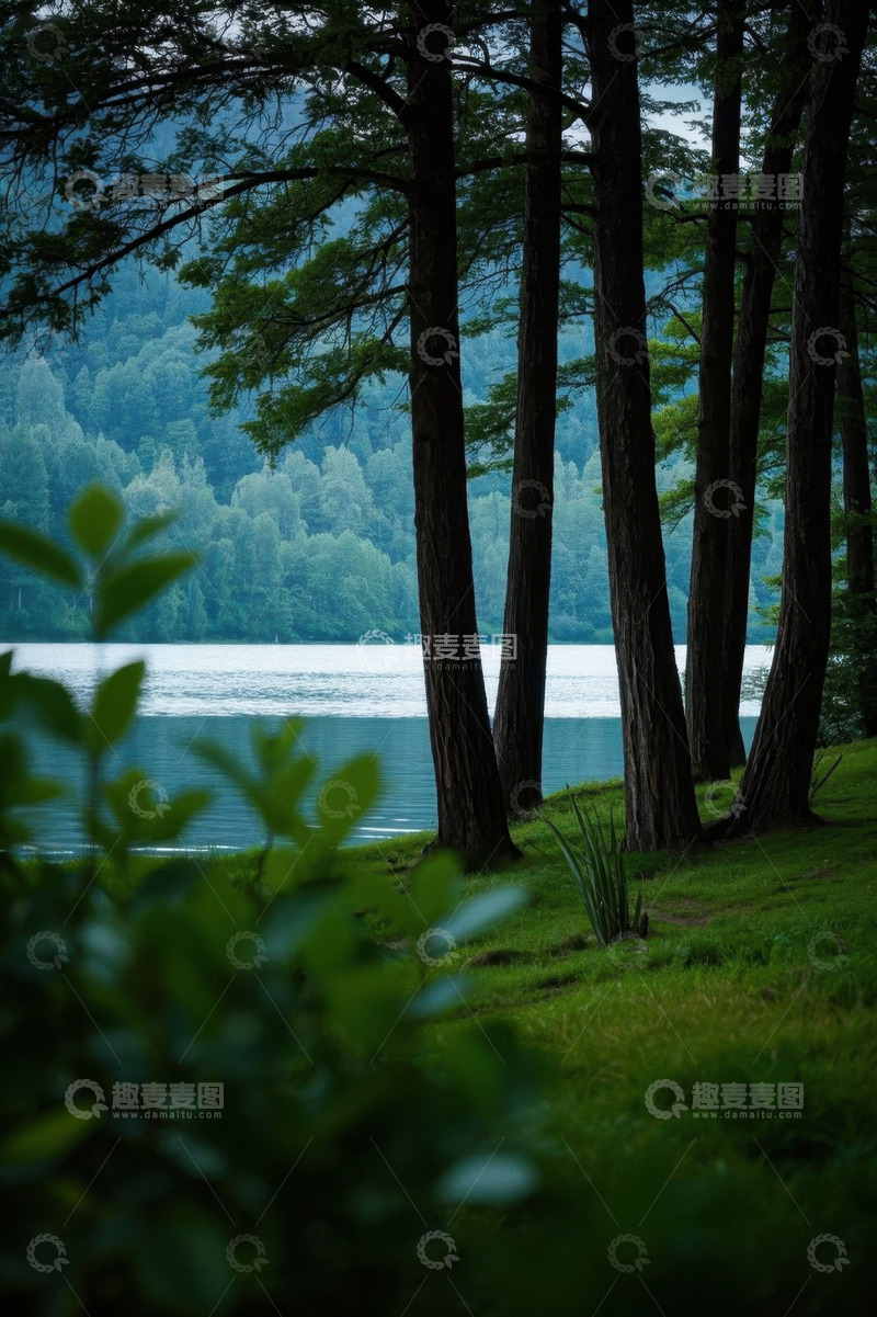 高清大图下载【趣麦麦图】森林湖畔自然风光