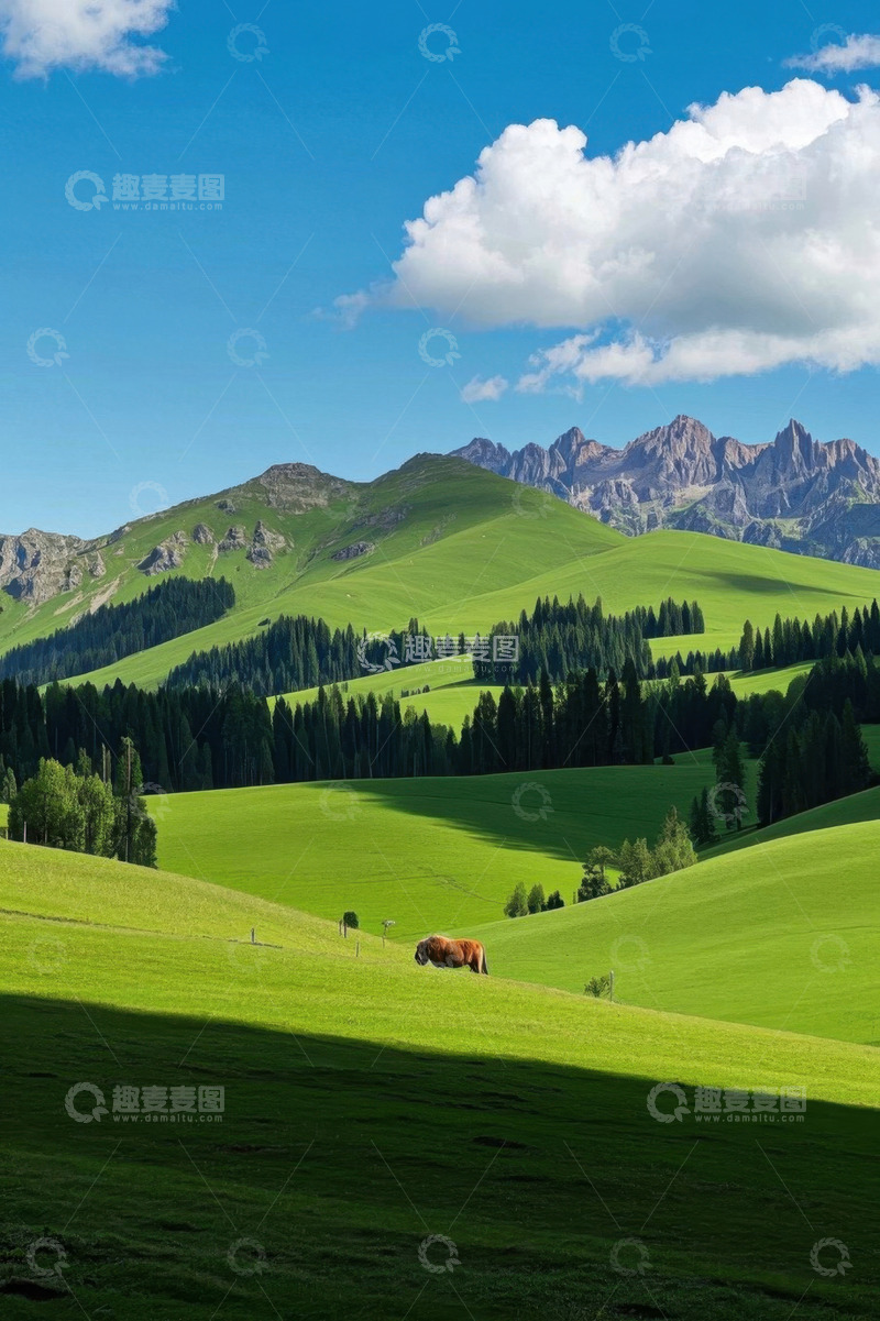 高清大图下载【趣麦麦图】草原山丘间的牛群风景