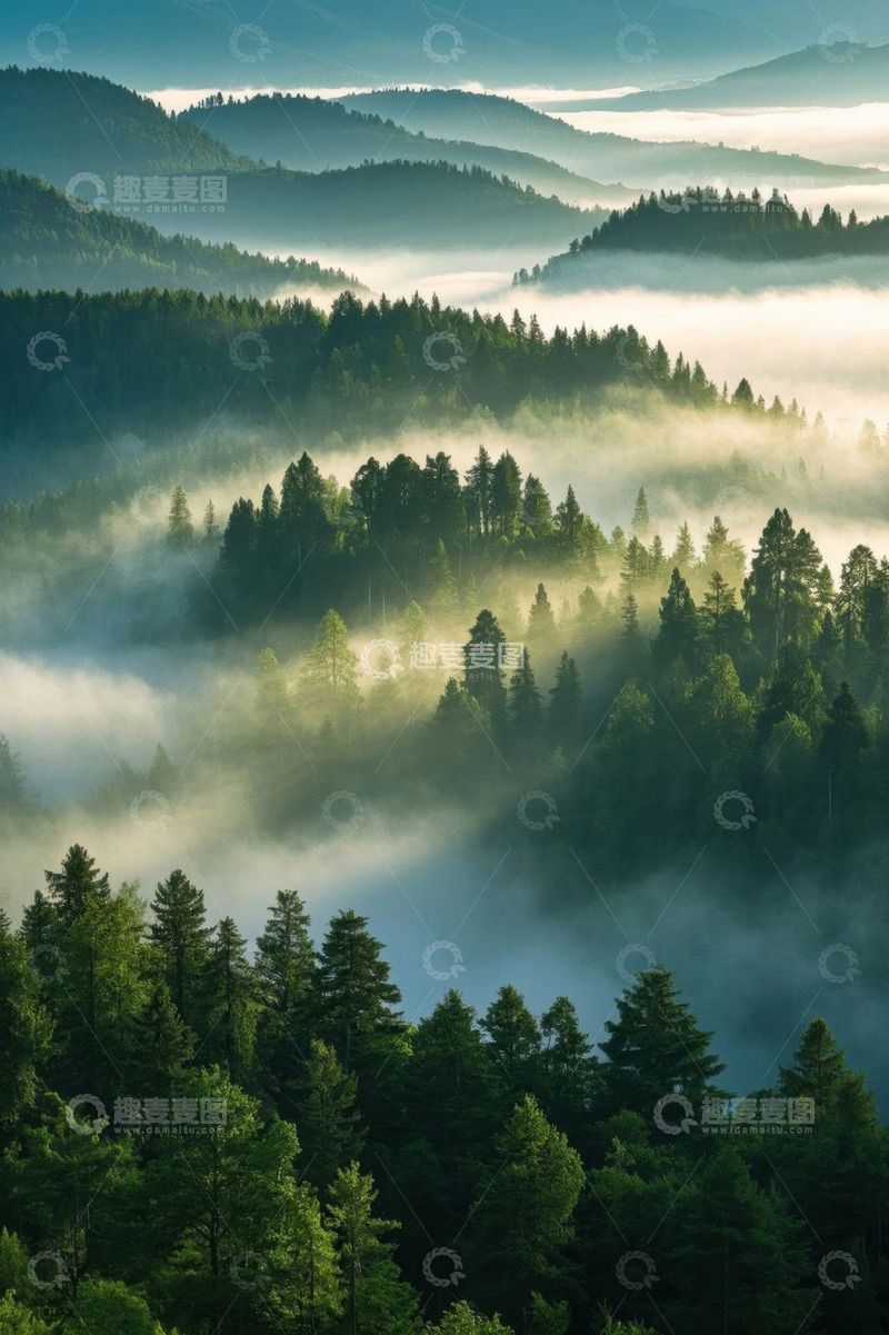 高清大图下载【趣麦麦图】山林间晨雾弥漫的森林景观
