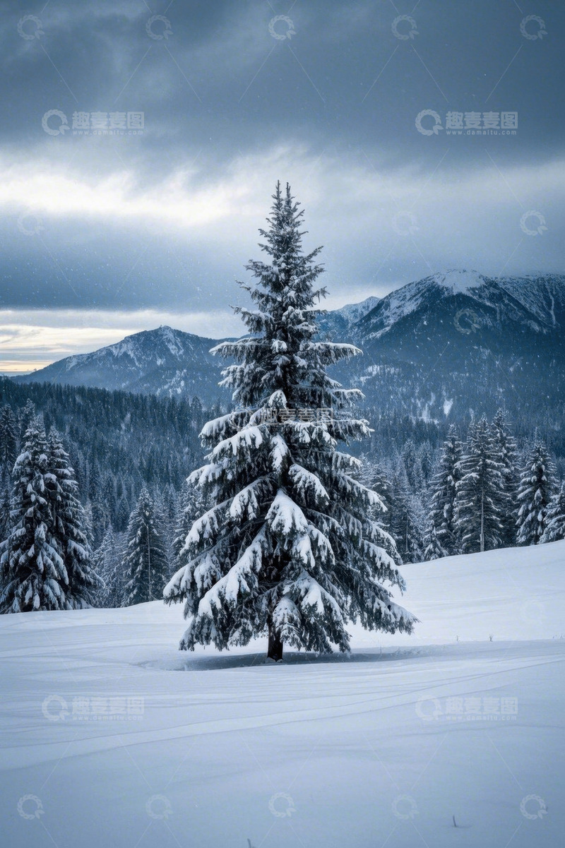 高清大图下载【趣麦麦图】雪覆山林中的单棵松树景观