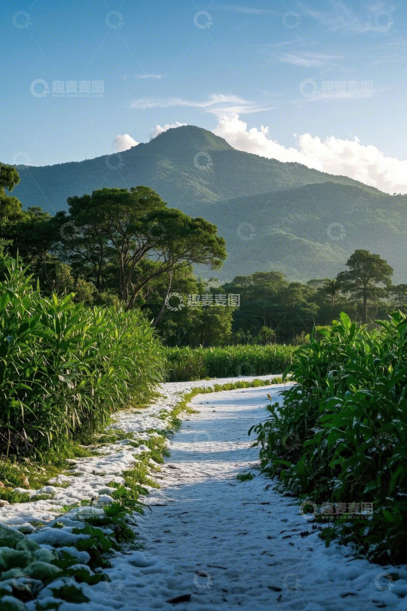 高清大图下载【趣麦麦图】山间绿野小道自然风光