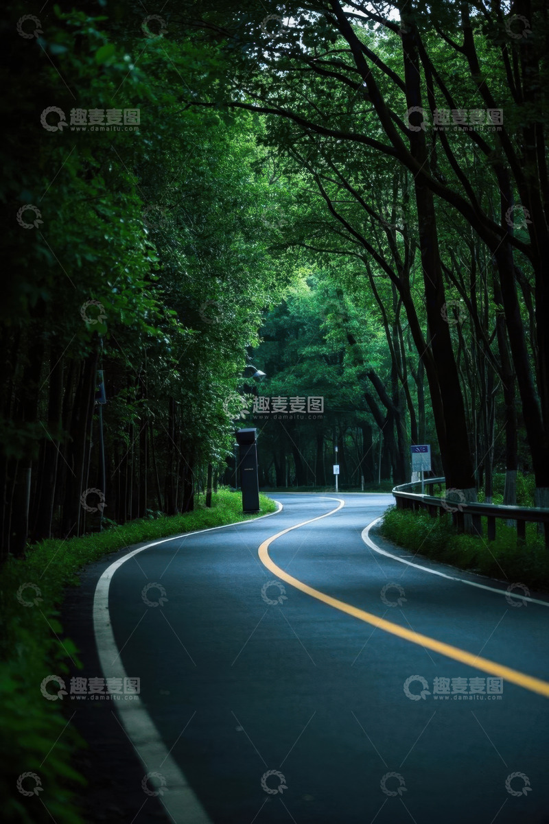 高清大图下载【趣麦麦图】林间蜿蜒公路风景
