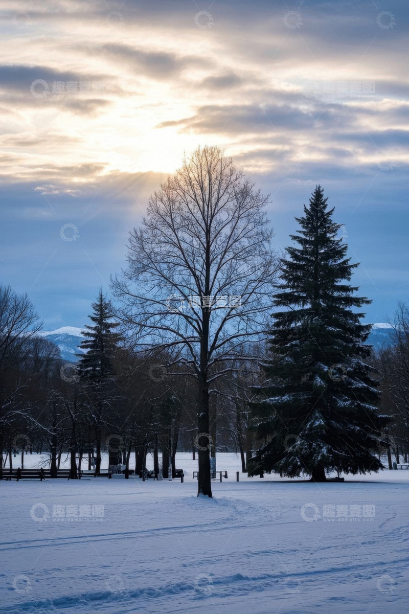 高清大图下载【趣麦麦图】冬日雪后森林阳光景象