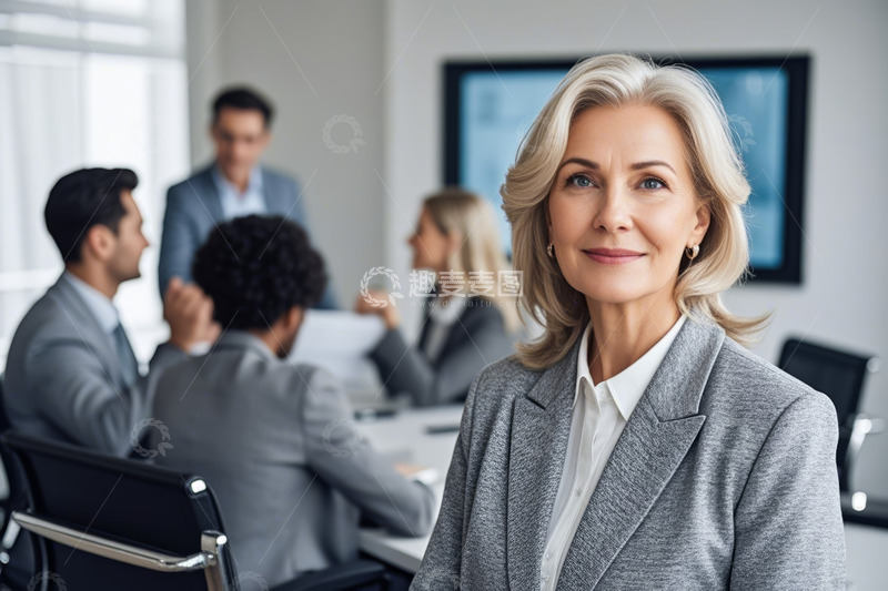 高清大图下载【趣麦麦图】办公室女商人参与团队会议