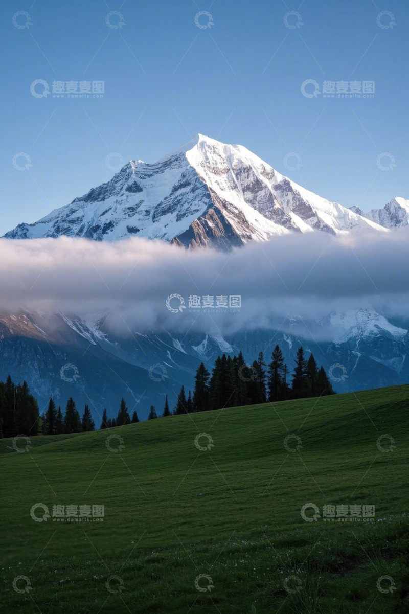 高清大图下载【趣麦麦图】雪山下的草地与森林景观