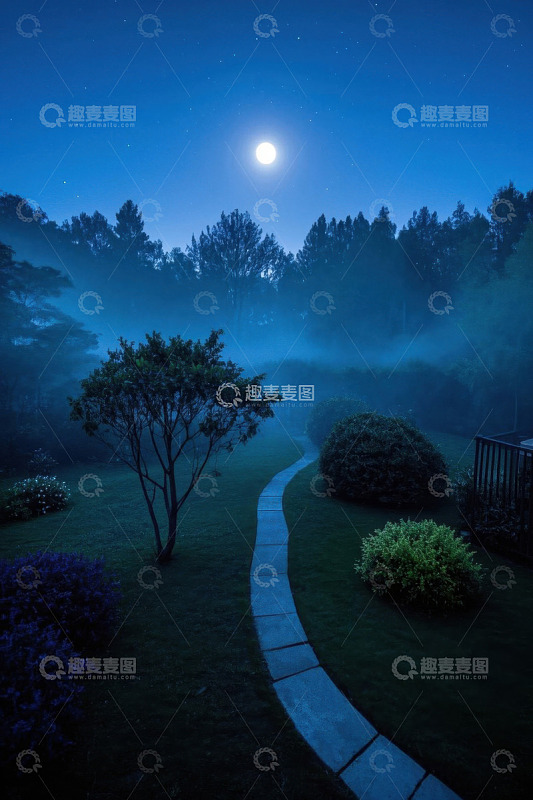 月夜下的花园小径景观