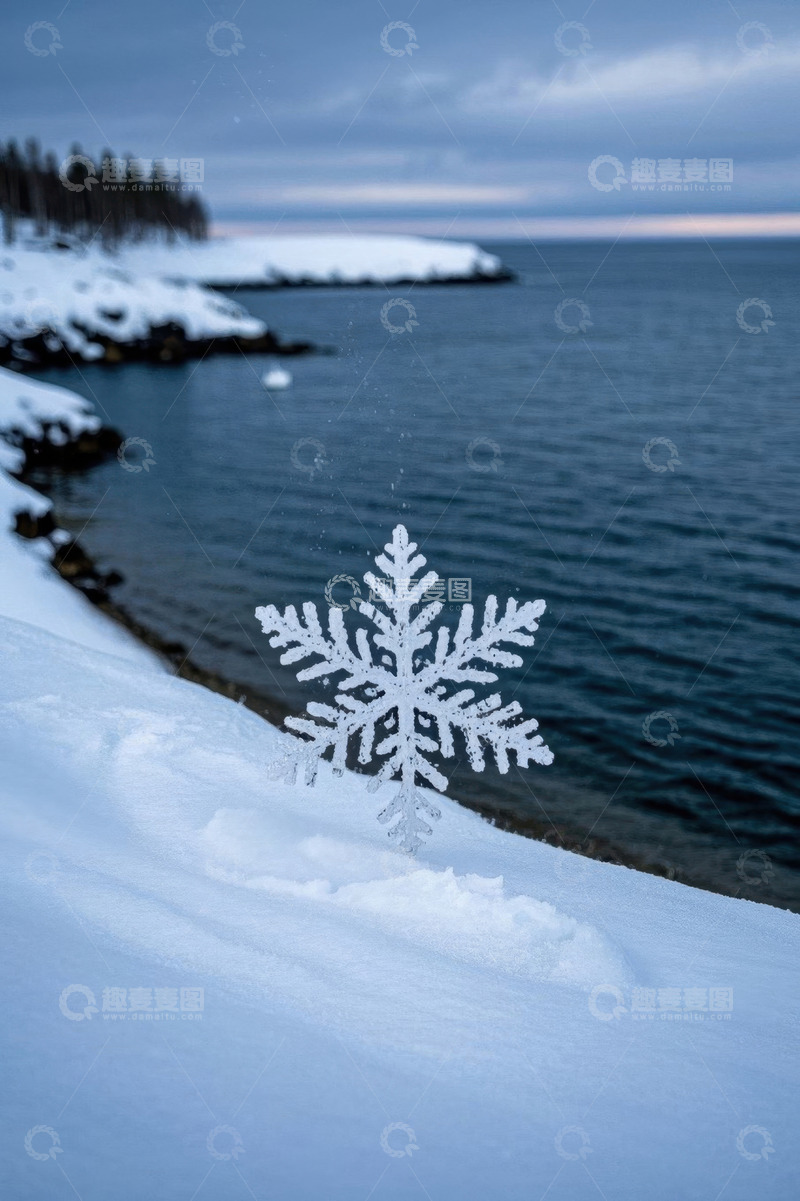 高清大图下载【趣麦麦图】海边雪景中的雪花特写