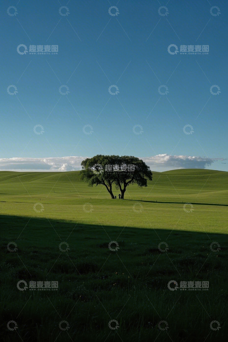 高清大图下载【趣麦麦图】草原上的孤独树木景观