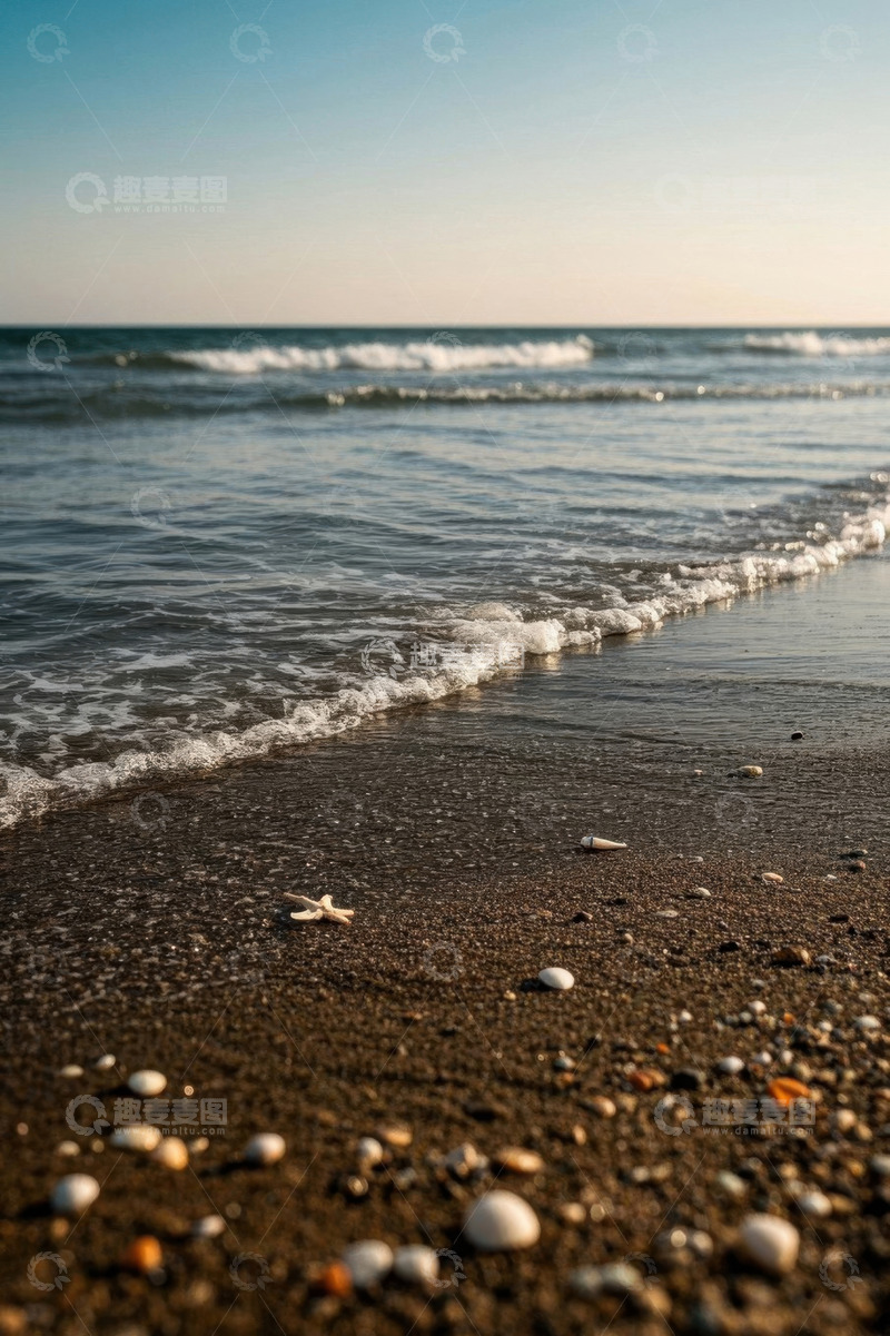 高清大图下载【趣麦麦图】海滩海浪与岸边贝壳海星