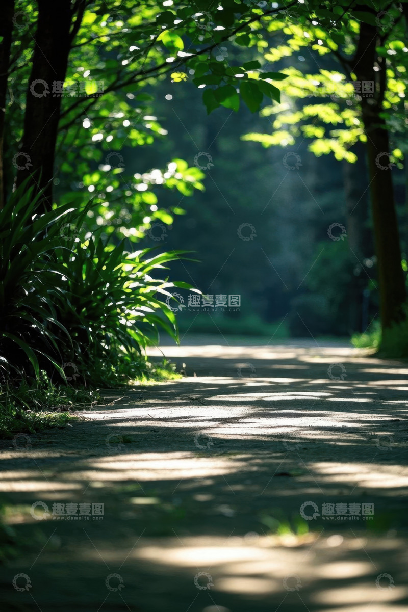 高清大图下载【趣麦麦图】阳光照耀下的森林小径